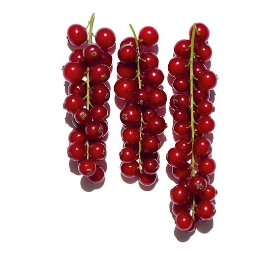 レッドカラント（フサスグリ）-オーガニック レッドカラントエキス-Ribes rubrum (currant) fruit extract