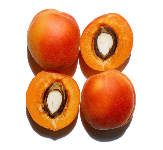 アプリコット（杏）-オーガニック アプリコットオイル-Prunus armeniaca (apricot) kernel oil
