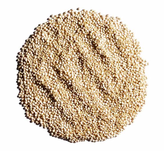 キノア-キノア種子エキス-Chenopodium quinoa seed extract