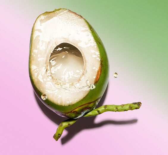 ココヤシ（ココナッツ）-オーガニック ココナッツウォーター-Cocos nucifera (coconut) fruit juice